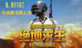 吃鸡新品爆料视频下载软件,独家爆料视频下载软件大揭秘