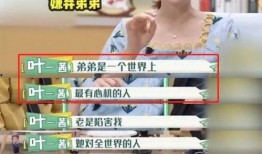 大琪爆料二胎了吗视频全集,视频全集揭秘幸福升级瞬间