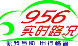 开平最新爆料消息今天,揭秘今日热点事件背后的真相