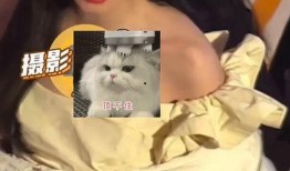 莎头恋情圈内人爆料,圈内人独家爆料，真相大白！